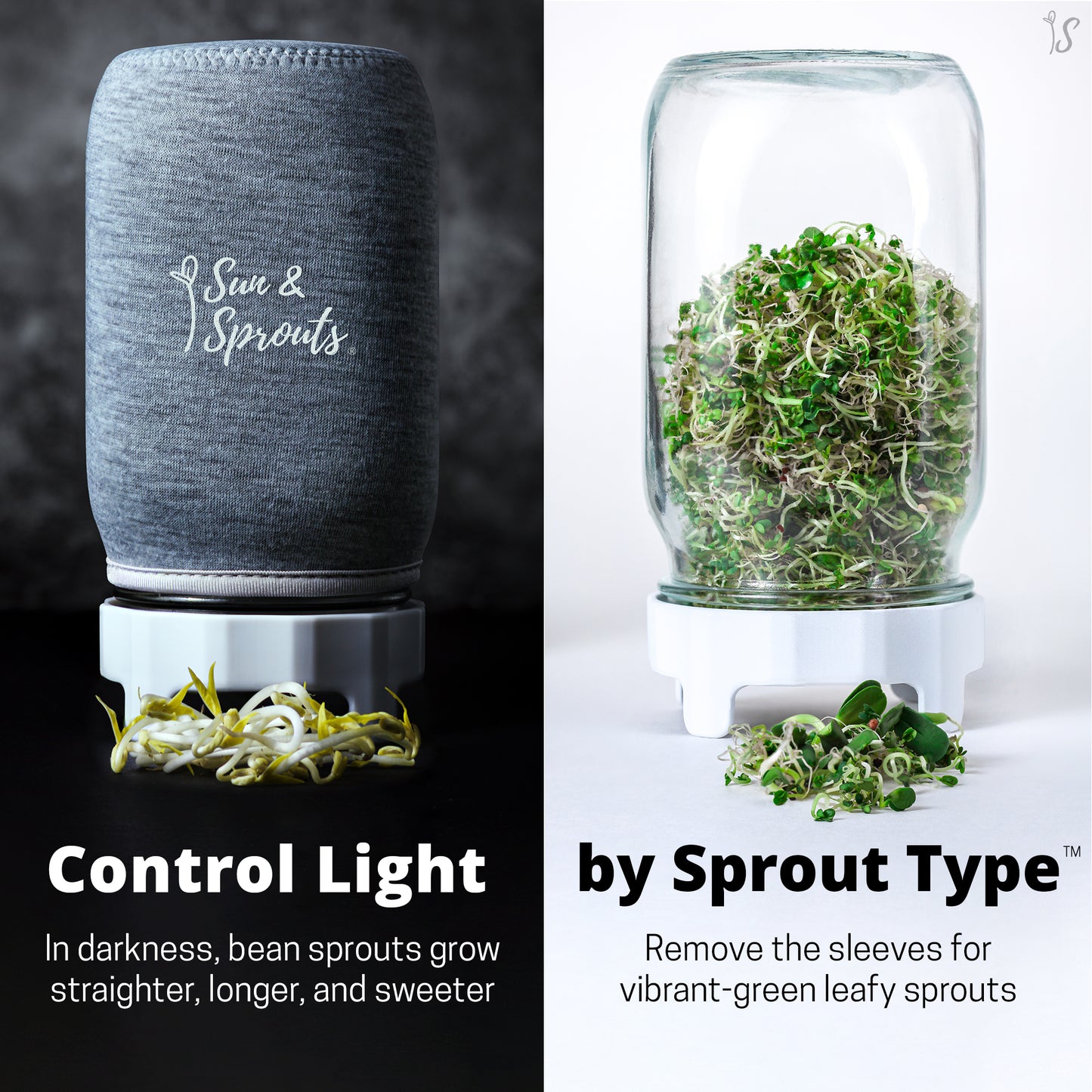 "Perfect sprouts in 5 days. So easy!"